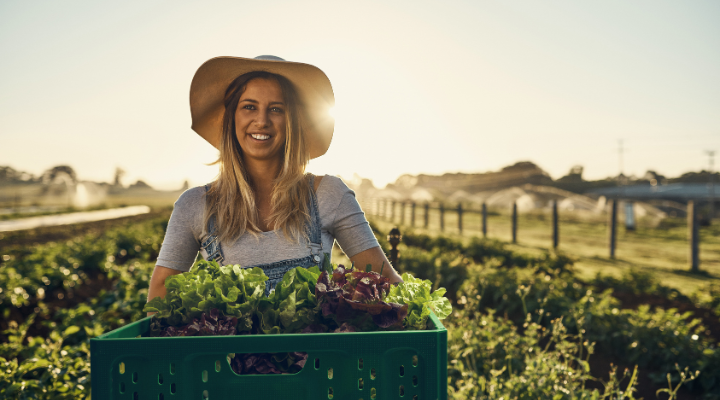 Reusable crate systems grow in NZ produce sector