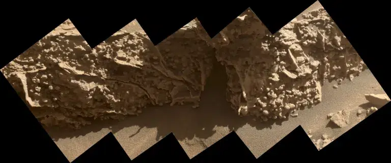 These bumpy nodules were formed by minerals left behind as groundwater was drying out on Mars billions of years ago. NASA’s Curiosity rover captured images of these pea-size features while exploring geologic formations called boxwork on Aug. 21, 2025.
NASA/JPL-Caltech/MSSS