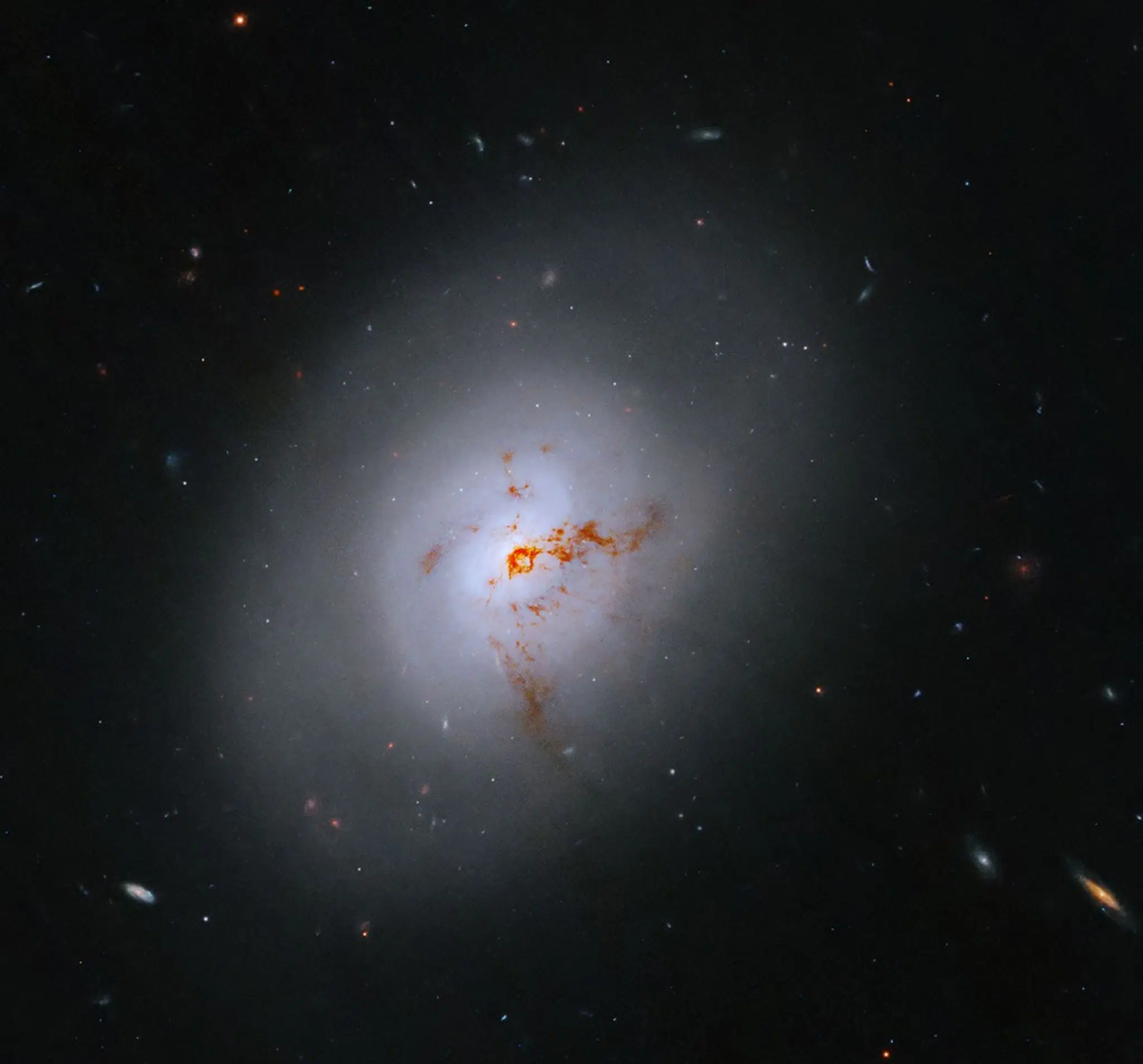 This NASA Hubble Space Telescope images reveals the lenticular galaxy, NGC 1266. This enigmatic post-starburst galaxy has a bright center and a face that hints at spiral structure, yet it holds no discernable spiral arms.
NASA, ESA, K. Alatalo (STScI); Image Processing: G. Kober (NASA/Catholic University of America)