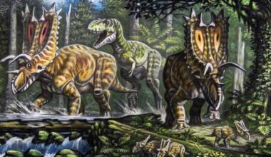 Giant Tyrannosaur Fossil Found in New Mexico