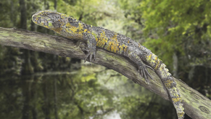 83-Million-Year-Old Crocodile Lizard Fossil Unearthed in France