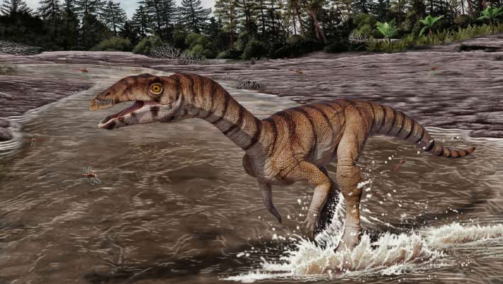Toothless, Bipedal Crocodile Relative Lived in New Mexico 212 Million Years Ago