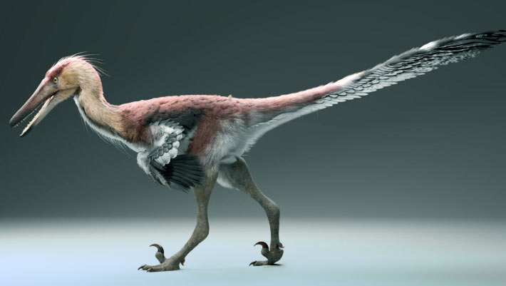 New Dinosaur Species from Argentina May Have Specialized in Catching Fish