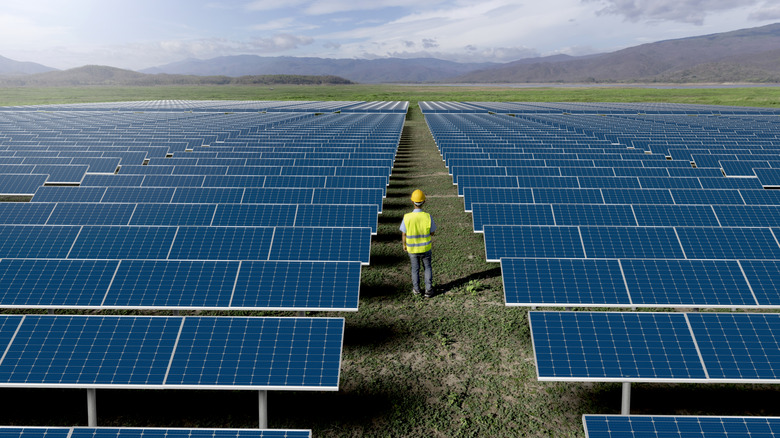 Engineer walking through a solar farm