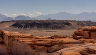 A hidden layer of microbial life has been found beneath the Atacama Desert, and it may be the closest Earth can get to rehearsing the search for life on Mars