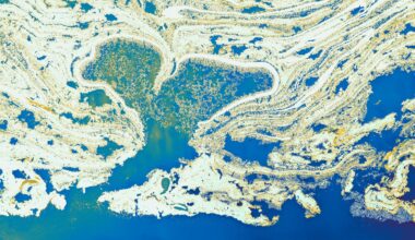 There are roughly 170 trillion pieces of plastic floating in the world's oceans, and the satellite work mapping where it concentrates wasn't designed to look for plastic at all