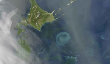 Marine heatwave conditions near Japan linked to unusual movement of the Kuroshio Extension current