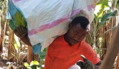 Ni-Vanuatu man acquitted of murder after sawing man's foot off for cash