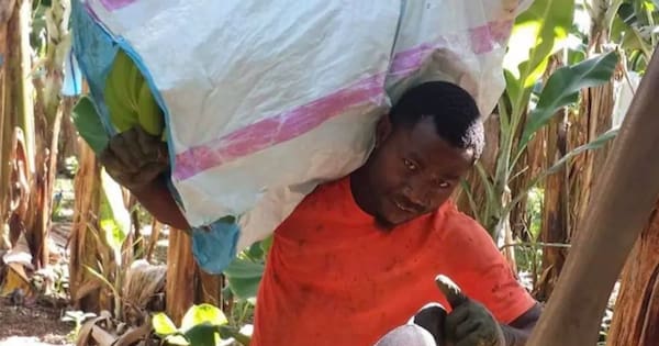 Ni-Vanuatu man acquitted of murder after sawing man's foot off for cash