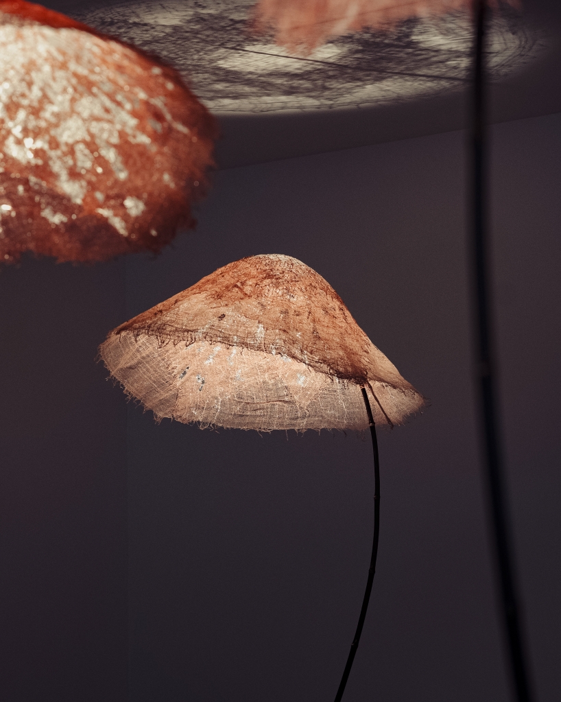 bamboo and linen shape luminous sculptures informed by forest and underwater light - 5