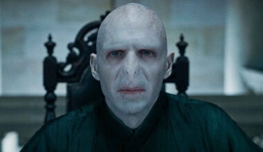 A Lord Of The Rings Actor Wants To Play Voldemort In HBO's Harry Potter Series