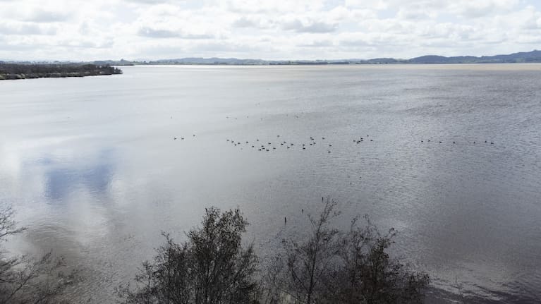 Lake Waikare has had a health warning for five years straight.
