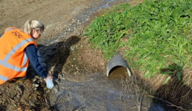 Fines of $66,500 for illegal farm contaminant discharges