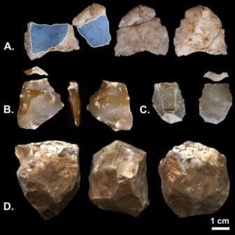 Lithic Artifacts Kbs Member Outcrop Surface