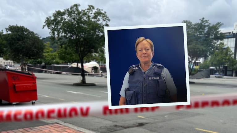 Lyn Fleming (file composite image).