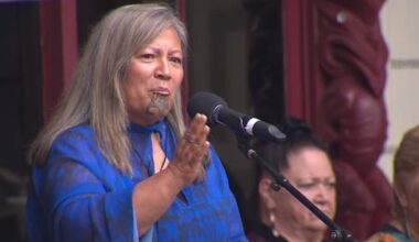 Kapa-Kingi splits from Te Pāti Māori, launches new party