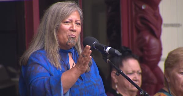 Kapa-Kingi splits from Te Pāti Māori, launches new party
