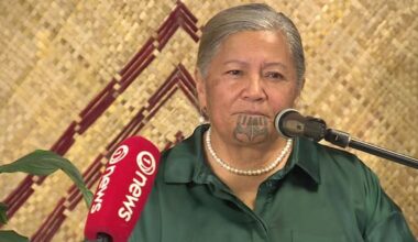 Kapa-Kingi talks plan for new party after Te Pāti Māori split
