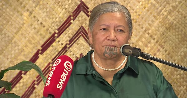 Kapa-Kingi talks plan for new party after Te Pāti Māori split