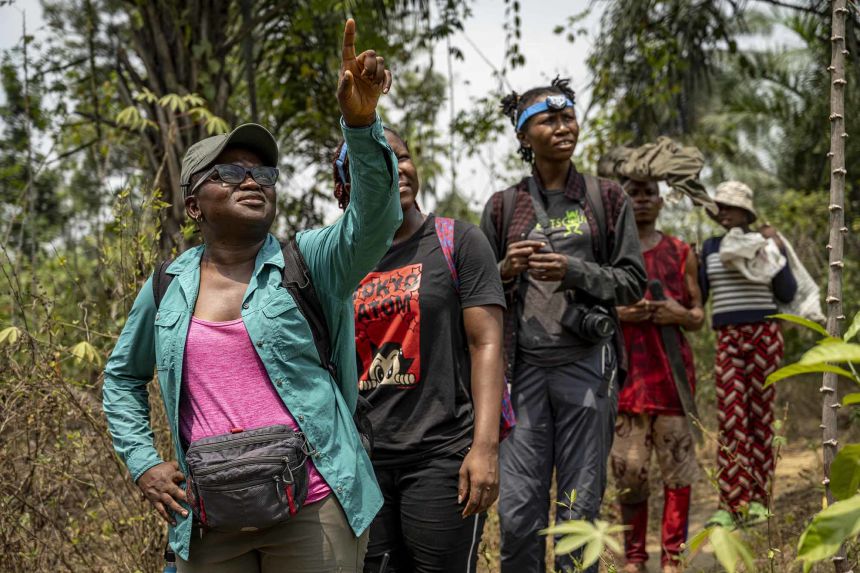 Tanshi leads her team on a search for bats in Odukpani, Cross River State.