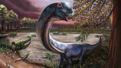 Meet Nagatitan: Southeast Asia's largest dinosaur who weighed as much as nine Asian elephants and was 27m in length