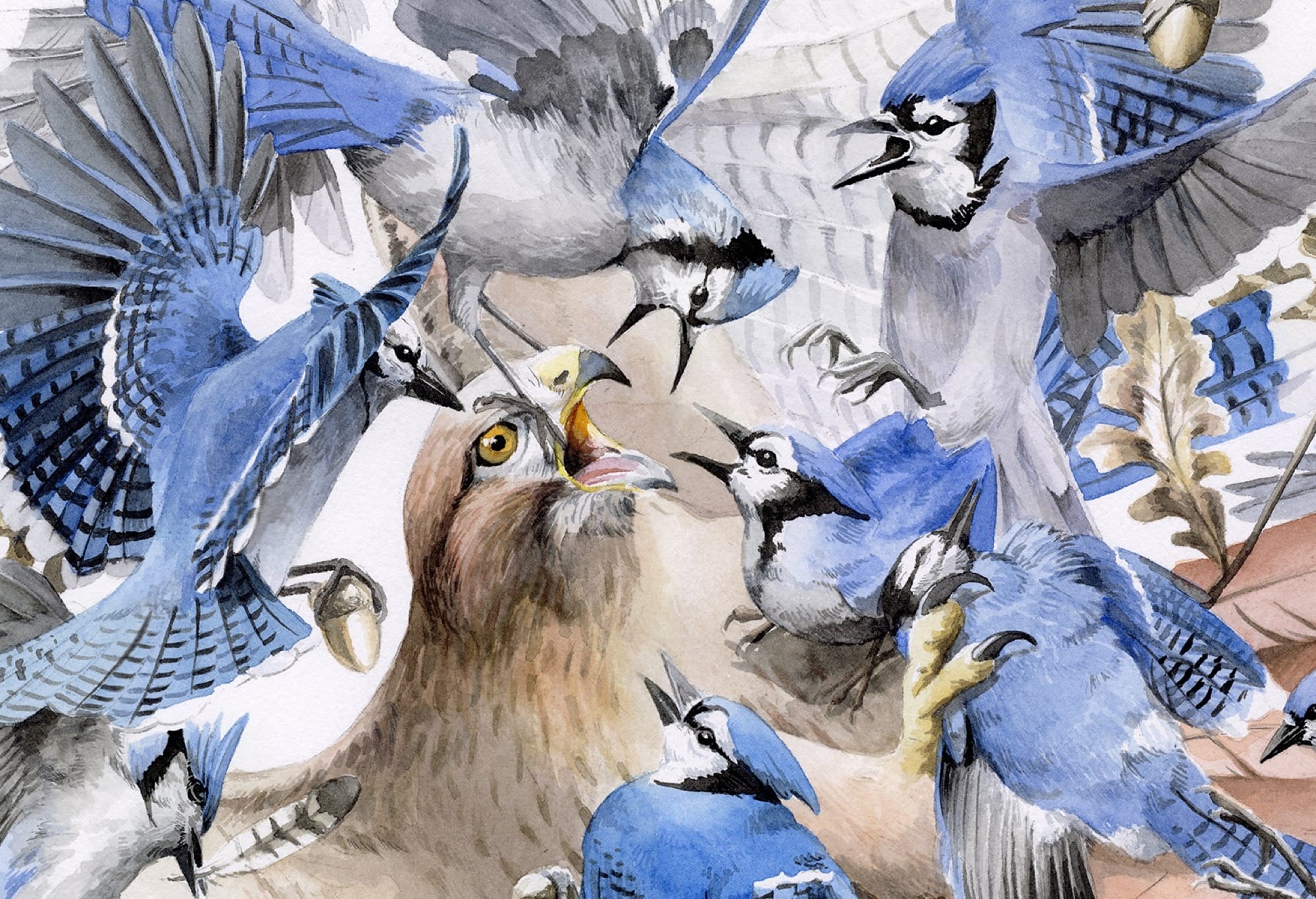 A detail of a highly detailed painting of a menagerie of blue jays and an eagle in a jumble against a white background