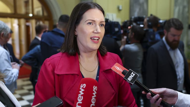 Minister of Internal Affairs Brooke Van Velden.