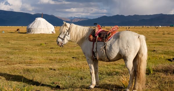 Mongolian horse, brass elephants: What MPs declared in gift register