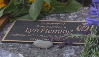 Nelson police officer killed by driver trying to end his own life, court told