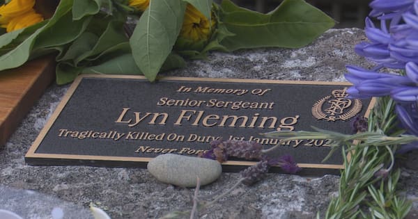 Nelson police officer killed by driver trying to end his own life, court told