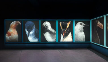 birds become ecological loss portraits at new zealand pavilion