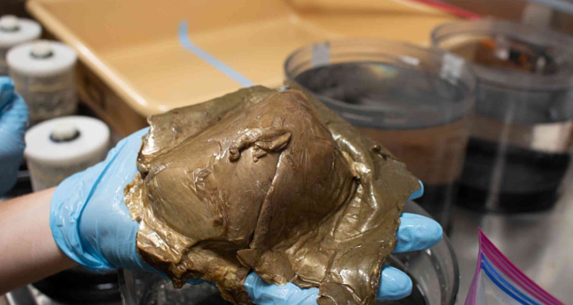The mysterious golden orb found deep in the ocean is finally identified after two years
