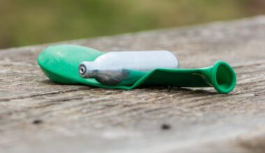 nitrous oxide canister and balloon