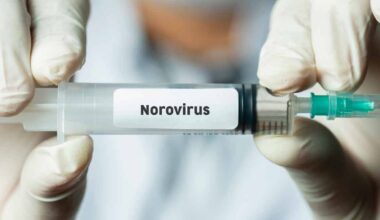 Norovirus is highly contagious. Photo: iStock/kemalbas