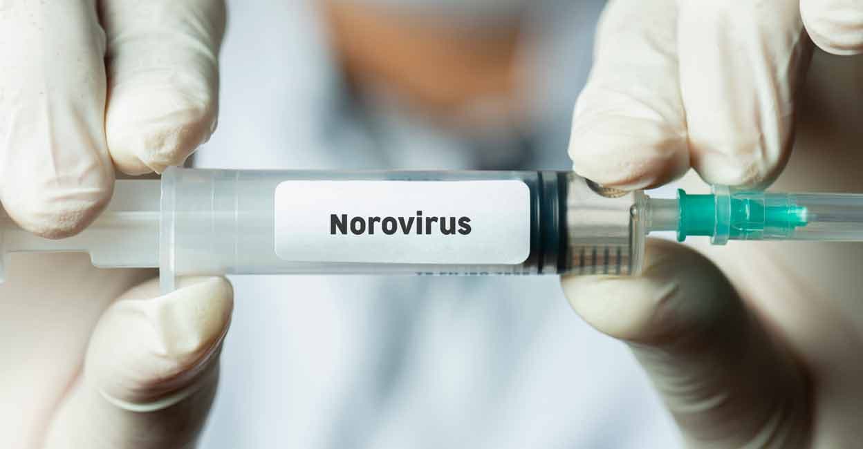 Norovirus is highly contagious. Photo: iStock/kemalbas