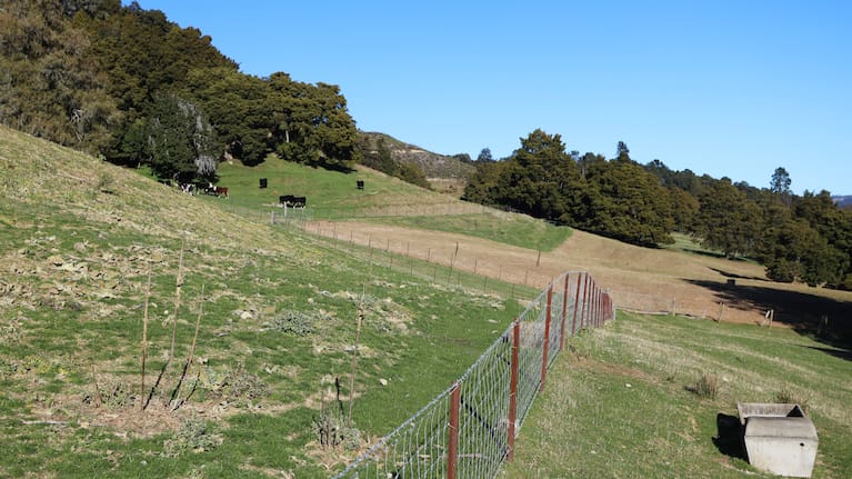 One farmer told Local Democracy Reporting that the proposed route would cut through six of his fields that he uses to graze sheep and cattle. 