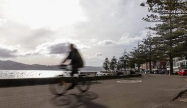 Locals want speed limit on capital's Oriental Parade shared pathways