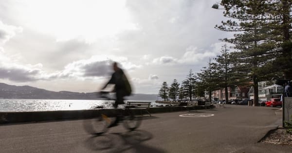 Locals want speed limit on capital's Oriental Parade shared pathways