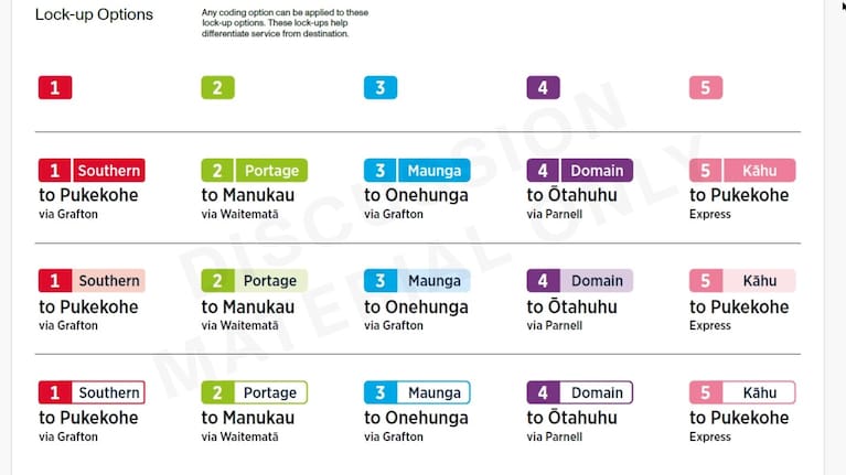 Other options considered in advice to Auckland Transport.