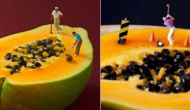 Two Photographers are in Court Over Images of Miniature Figurines on Fruit