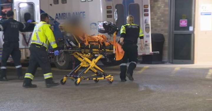 Escalating violence hurts paramedic mental health, retention, care: chief