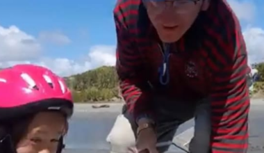 Whitebaiters urged to wear life-jackets after father died on West Coast