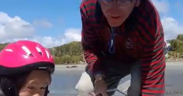 Whitebaiters urged to wear life-jackets after father died on West Coast