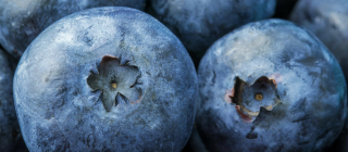 In my Inbox — Spinach, Blueberries, Hold the Baloney | Office for Science and Society