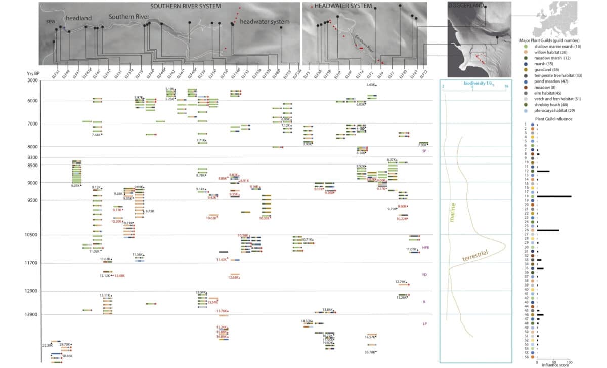 Plant Guild Profiles Of The Southern River And Surrounding Doggerland Area