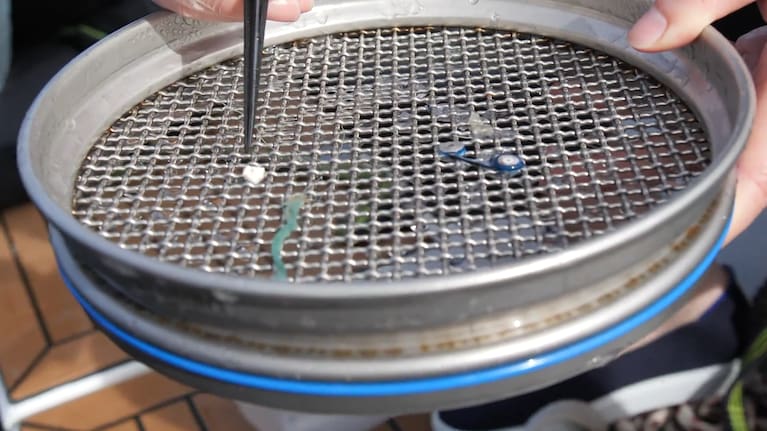 Plastics found in ocean by eXXpedition voyage