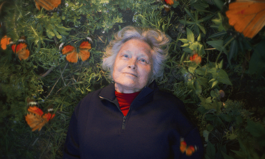 Review: Caterpillar is an essential love letter to mothers and daughters