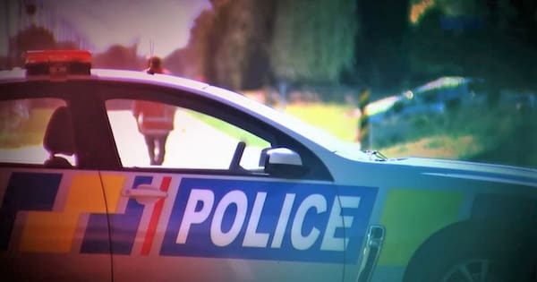 One dead after crash involving pedestrian on Waikato Expressway