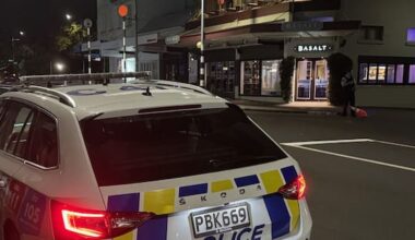 Man arrested after East Auckland assault leaves one in critical condition