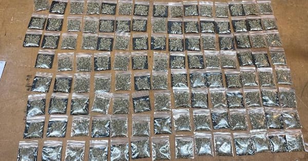 Police uncover 125 bags of synthetic drugs in Hamilton raid